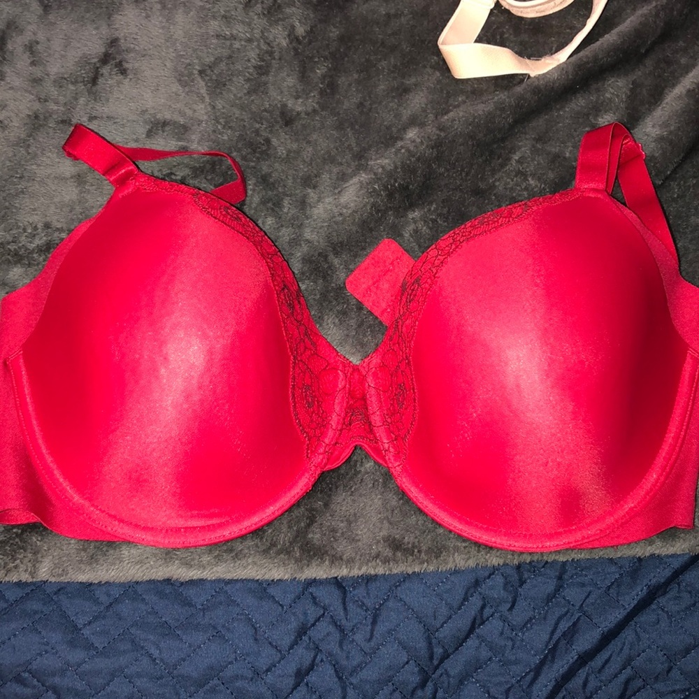 Warner’s bra